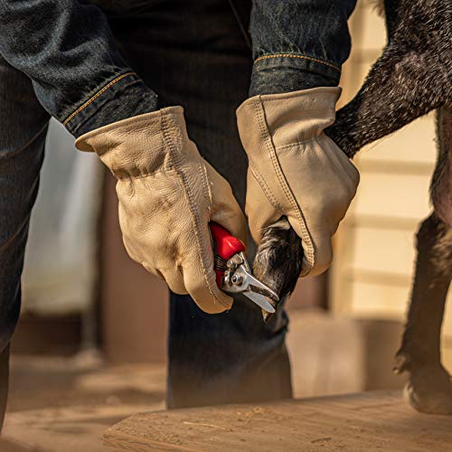 Wells Lamont Mens 1130 Work Gloves, White, Large Pack Of 1 Us #TOP4