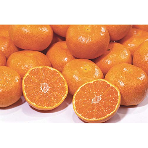 はちまるはち生鮮 愛媛県産 愛媛みかん サイズ混合 低農薬 ご家庭用 訳あり ミカン 蜜柑 大三島 お歳暮 ギフト