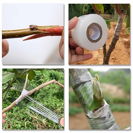 Image of Grafting Tape 1 inch x 100 Meter for Nursery, Garden and Plants, Transparent