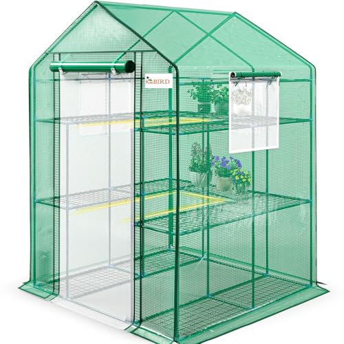 KING BIRD Greenhouse with Steel Frame and Shelves