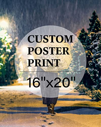 jenesaisquoi Canvas Art Print 16x20
