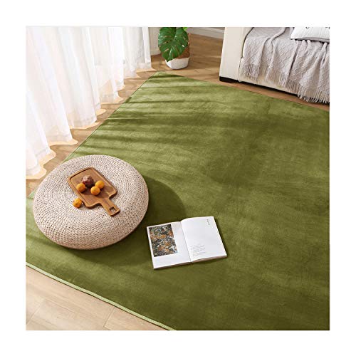 SPEEDY ラグ・カーペット フランネルラグ カーペット フリーライフ ラグマット ラグ 滑り止め 防ダニ 抗菌 防臭 防音 遮音 ふわっと手触り (グリーン, 135x185cm)
