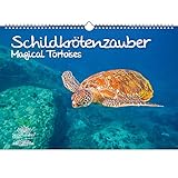 Schildkrötenzauber DIN A3 Kalender - Immerwährender Kalender Schildkröten - Seelenzauber