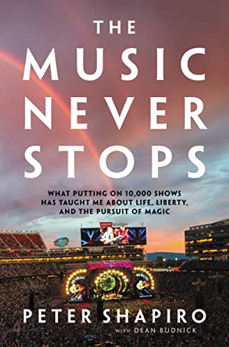 Music Never Stops view 2