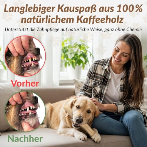 Heygret Kauknochen aus Kaffeeholz für Hunde S - Natürliches Kauspielzeug zur Zahnpflege & Stressabbau - Langanhaltende Beschäftigung mit nachhaltigem Kauholz - Kaustab