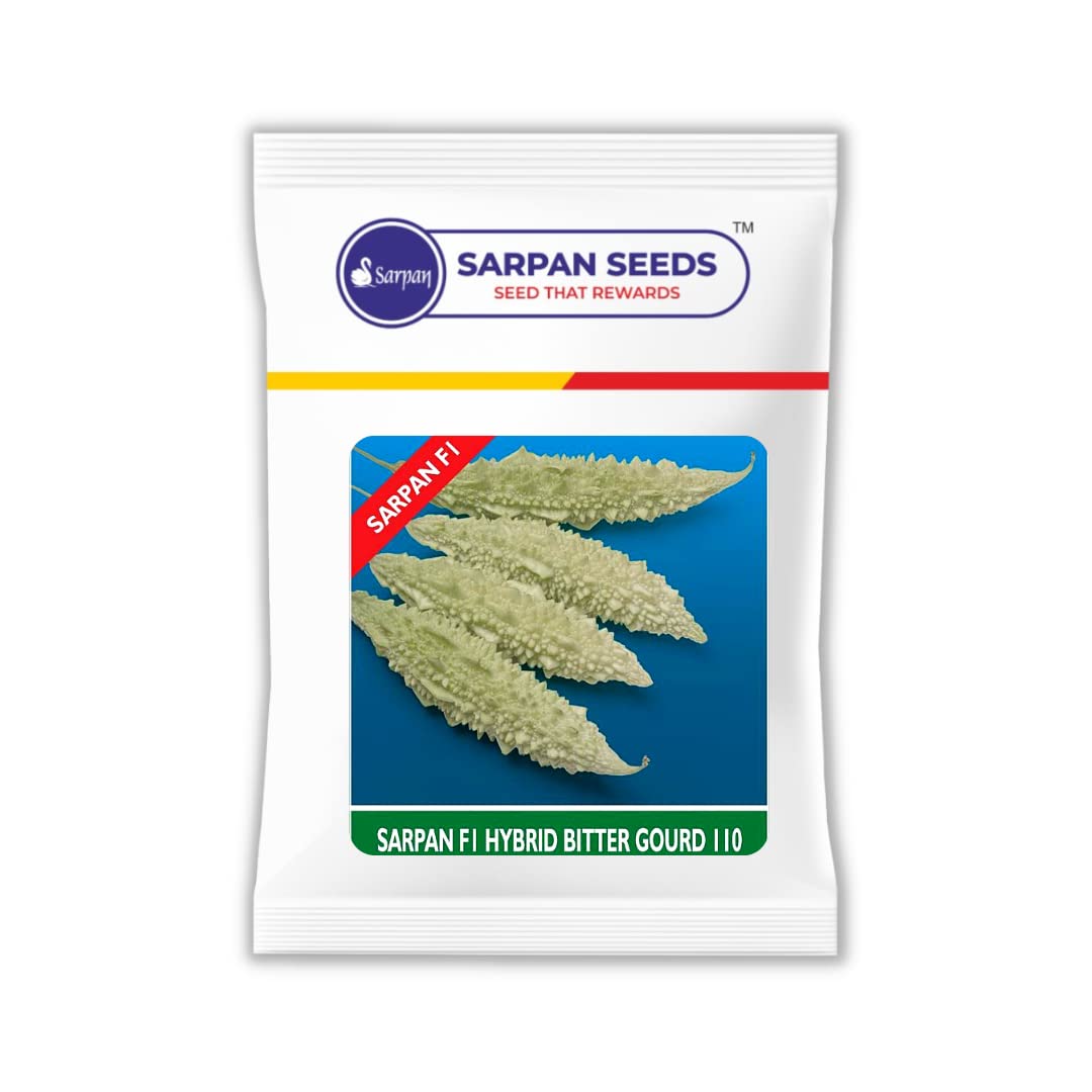 SARPAN SEEDS Sarpan Bitter Gourd-101 (F-1 Hybrid) | 50 gms | white long karela seeds | vegetable seeds | kitchen garden (50) (B09Z9G3514) Amazon Price History, Amazon Price Tracker