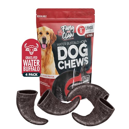 Water Buffalo Horn Dog Chew 4 Pack - Large 8' - All Natural Free Range Grass Fed Single Source Protein - No Chemicals, Additives, Hormones - Long Lasting, Good for Aggressive Chewers – by Fang & Claw