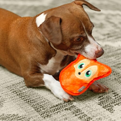 Outward Hound Durablez Tough Plüsch Squeaky Hundespielzeug, Fuchs, Orange, XS