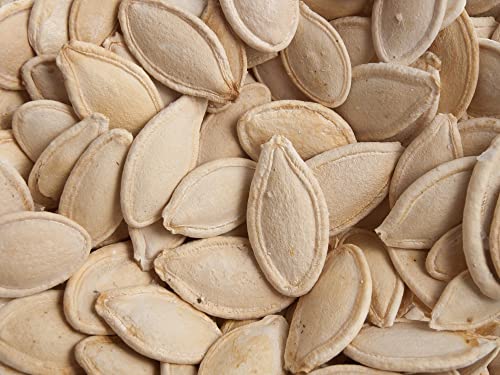 Exotic Black Pumpkin Seeds | 10 Seeds Packet | Grow Stunning Black Kat Pumpkins #TOP3