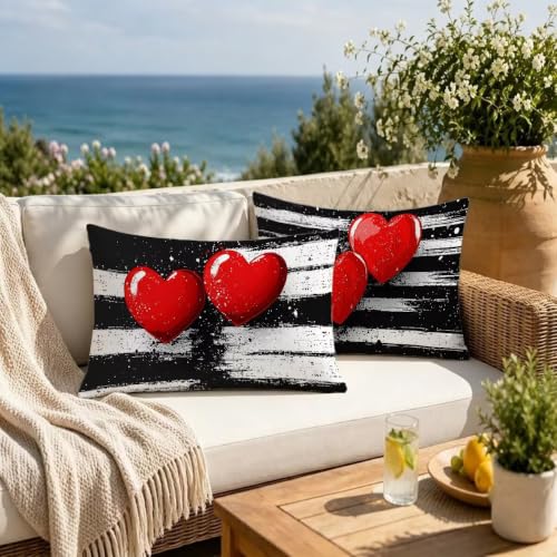 Housse coussin extérieur imperméable 40x80 noir et blanc
