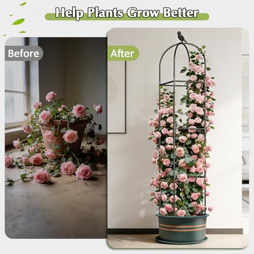 Image of Square Tomato Cages for Garden, 6.2 FT Cucumber Trellis for Flowers, Grape, Pea, Rose, Bean, Rustproof Plastic Coated Metal Plant Support for Potted Plants Indoor Outdoor - 2PC Obelisk Trellis
