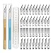 2 Taglierini e 40 Lame, Cutter di Precisione, Intaglio artigianale hobby, Set di coltelli artigianali, Ricambio Taglierino per Bricolage per Hobbistica Taglio Opere Stencil(Oro e blu)