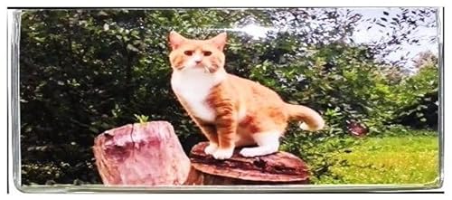 Oversize Jumbo Cover with Large Print Transaction Low Vision Sight