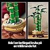 LEGO Botanicals Bambudracena Prydnad med inomhusväxt, Bygg din egen rumsdekoration, Byggsats för vuxna, Present för kvinnor, män och alla naturälskare 10344 #4