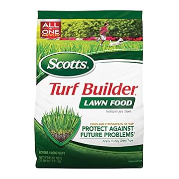 best type of fertilizer for lawn