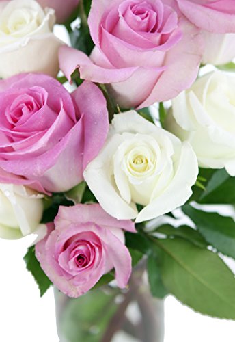Kabloom Bouquet Of 12 Soft Pink And White Roses (Farm-Fresh, Long-Stem) With Vase #TOP2