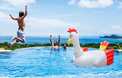 rooster pool float