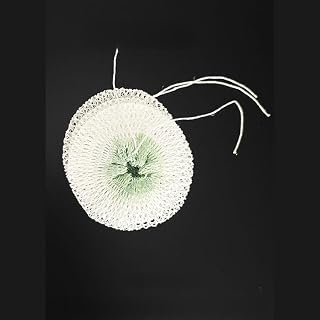 Rayón - Cubierta de malla para farol de gas para exteriores, 7 x 7 x 1 cm, sombra de gasa para camping, pesca y montañismo, blanco/verde, 1 paquete