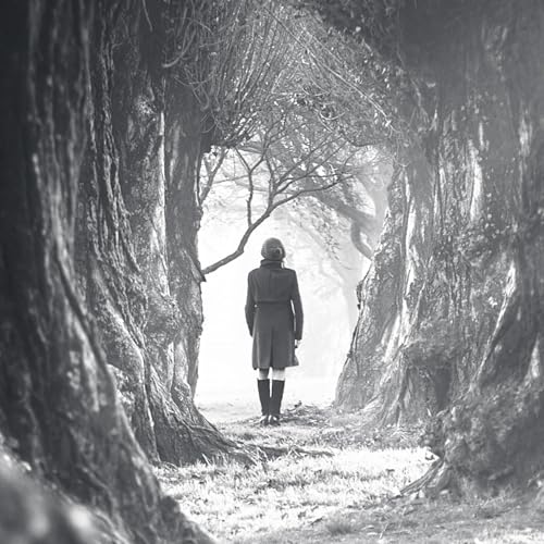 Couverture de Sozinha de si 