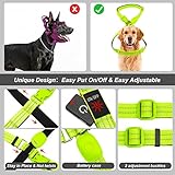 PZRLit LED Hundegeschirr Leuchtend für Hunde, Leuchtgeschirr Hundeweste Wiederaufladbar, Weich Gepolstert, Verstellbar und Reflektierend, Beleuchtetes Hundegeschirr (Grün, Groß)