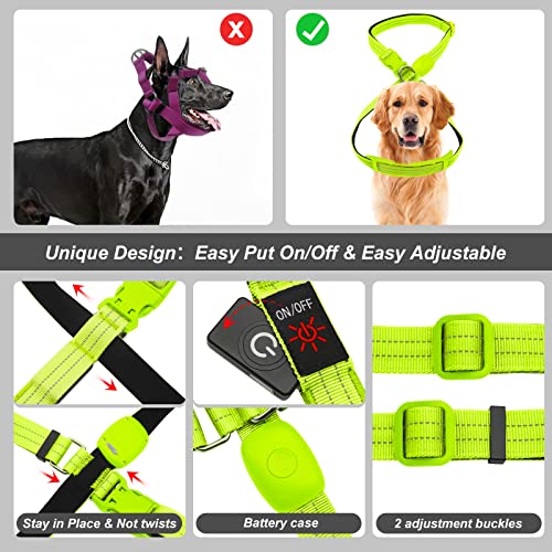 PZRLit LED Hundegeschirr Leuchtend für Hunde, Leuchtgeschirr Hundeweste Wiederaufladbar, Weich Gepolstert, Verstellbar und Reflektierend, Beleuchtetes Hundegeschirr (Grün, Mittel)