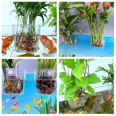 ARREBOL 2 Pack Clear Aquarium Plant Holder Top Hanging Fish Tank Plant Holders Fits up to 0.8in Tank Edges