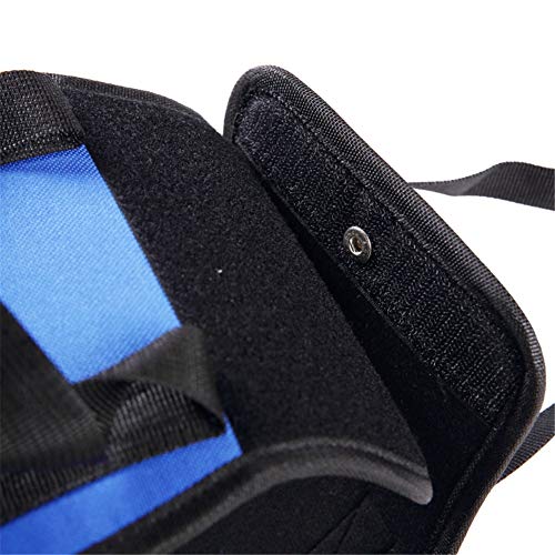 WESEEDOO Pettorina Cane Imbracatura Cane Zampe