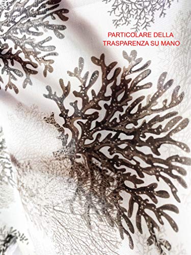 Tex family Tenda tendaggio Digitale 3D