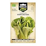 Semillas Batlle Lechuga Rom. larga Rubia - ECO
