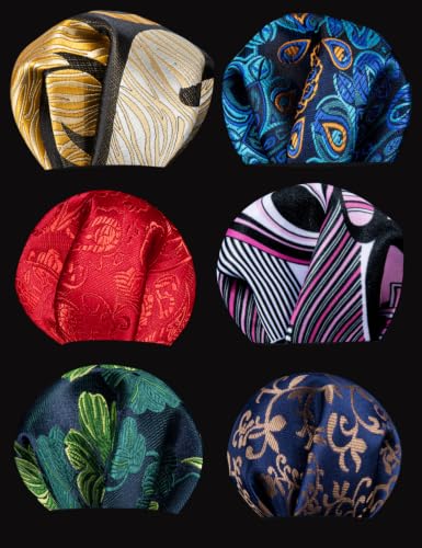 Image of Barry.Wang 6 PCS Men Ties Set Silk Business Fashion Woven Necktie Handkerchief Cufflinks Paisley Stripe Wedding Party