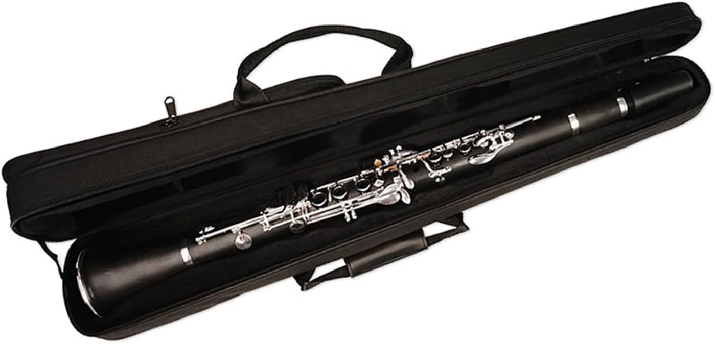 17 Key B Flat ABS Clarinet Resin Double Two Section Instrument Clarinet Instrument