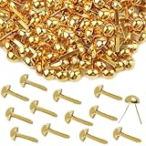 300 Pcs Brass Fasteners,brads for Paper Crafts,Brass Brads Round Fasteners,Paper Fasteners,Brass Brad Paper Fasteners,pins for Crafts DIY Handicraft School Project Supplies(0.32x0.6 Inch Gold)