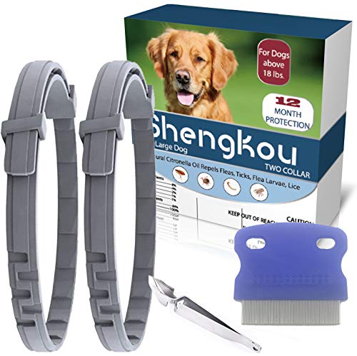 Flea and Tick Collar for Dog, Made with Natural Plant Based Essential Oil, Safe and Effective Repels Fleas and Ticks, Waterproof, Fits Large Dog, Free Comb, Charity! (2 Packs)