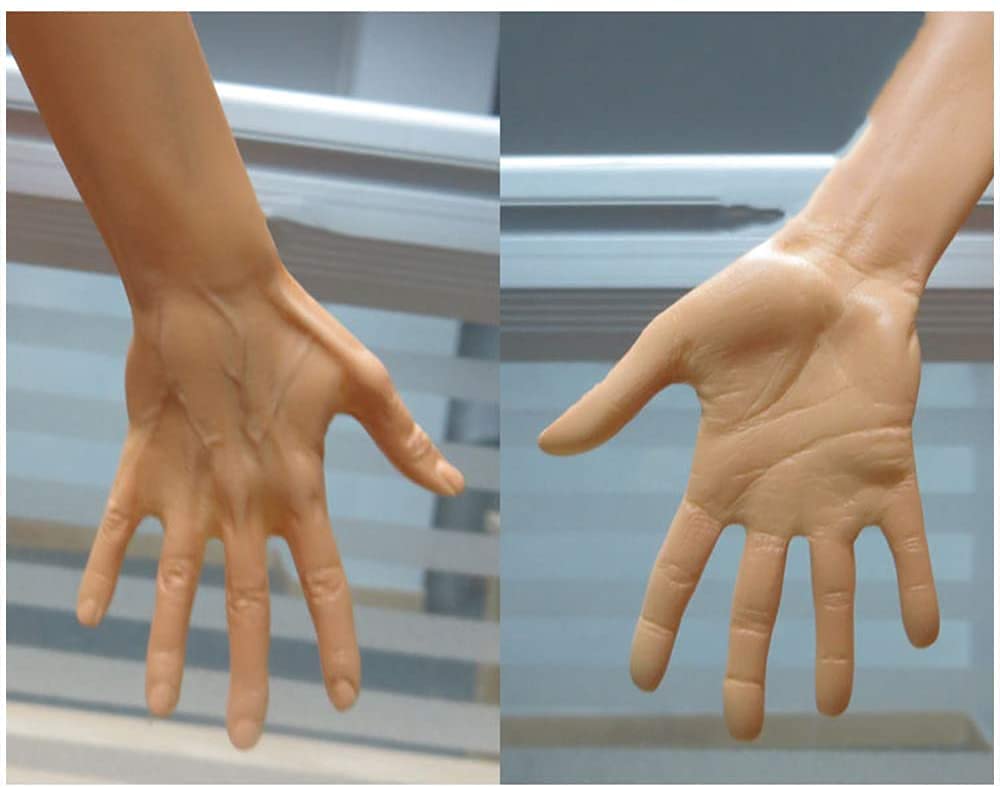Modello di insegnamento, figura di anatomia umana, muscolo del corpo umano e modello anatomico di scheletro per il disegno strumento artistico di riferimento medico (dimensioni : 60 cm) biologia anato