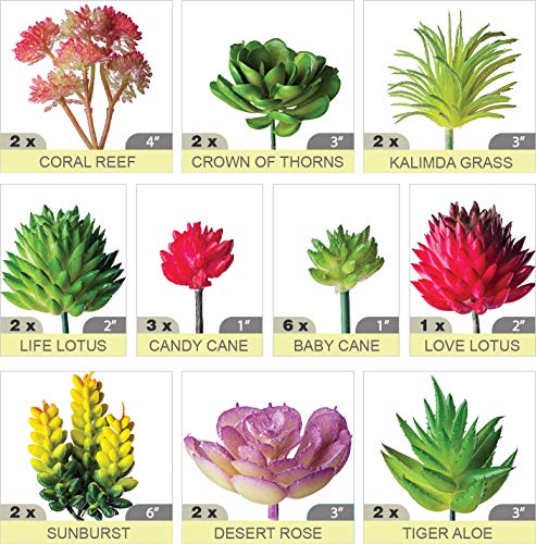 Housenior 24 Pack Mini Artificial Succulent Plants Unpotted : Fake Succulents Picks Realistic Plastic Cactus Stems For Terrarium Bulk Small Faux Assorted Arrangements Flocked Greenery #TOP1
