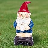 Noa Store Funny Garden Gnomes on Toilet - Funky Yard Art - Gnomes Outdoor Decorations - Naughty Garden Gnome Reading While Doing his Business Lawn Statues - Sturdy Resin Material - 5.1x2.7x2.4 inches