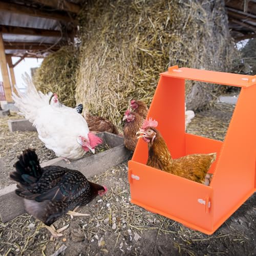 Conjunto de 6 caixas de ninho de galinha com almofadas de plástico, caixa de ninho de ovo de galinha