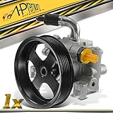 bomba hidraulica direccion asistida peugeot 407 Compatible con Tourneo Transit Connect 2002-2013