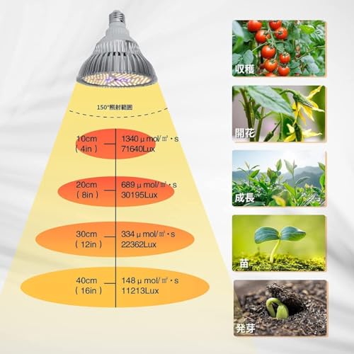 Demanca 植物育成ライト led 2個 全光スペクトル 太陽光 e26 150個LEDチップ 100W相当 の商品画像 6