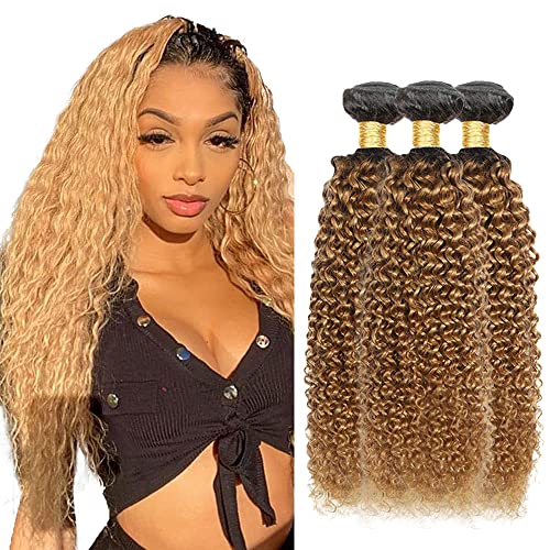 ZhengPu 26 28 30 Inch 1b/27 Ombre Kinky Curly Bundles Honey Blonde 2 Tone 1b/27 Brazilian Curly Human Hair Weave No Tangle&No Shedding 8A Honey Blonde Virgin Kinky Curly Human Hair Bundles