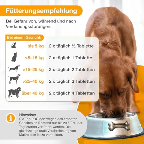 alfavet Dia Tab PRO 100 g – Diät-Ergänzungsfuttermittel für Hunde & Katzen – Prä- & Probiotika zur Stabilisierung der Verdauung – Leckere Kautabletten mit Bentonit zur Unterstützung der Darmflora