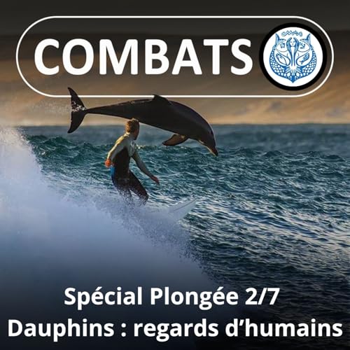 SP&Eacute;CIAL PLONG&Eacute;E 2/7 : Dauphins/humains, des relations souvent fantasm&eacute;es