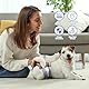 MICOOYO Einweg-Hundewindeleinlagen – Hunde-Booster-Pads für männliche & weibliche Hunde, super saugfähige Perioden-Hundeeinlagen (seitlicher auslaufsicherer Schutz, XS-100)