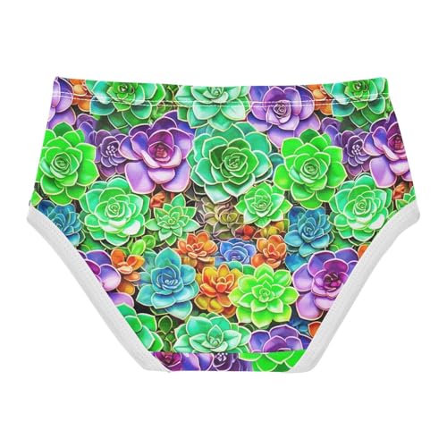 Joisal Colorful Succulent Plants Panties Little Girl Girls Underwear Toddler Cotton Animals Kids Undies Briefs 2t2