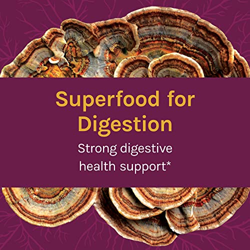 Host Defense Turkey Tail Mushroom Powder - Digestive Health & Immune Response Support Supplement - Mushroom Supplement for Gastrointestinal & Gut Microbiome Support - 3.5 oz (66 Servings)* - Image 4