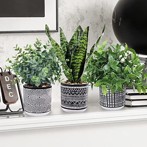 3 Pcs Small Potted Plants Fake Eucalyptus Plants And Tropical Snake Plant In Black Geometric Concrete Ceramic Pots For Modern Home Kitchen Windowsill Table Shelf Indoor Outdoor Greenery Decor #TOP2