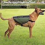ASOCEA 2 Stück Hunde-Patch Abnehmbare Leder-Anhänger Klett-Patches für Haustiere Diensthund im Training Welpenweste-Geschirr-Befestigung für kleine mittelgroße Hunde