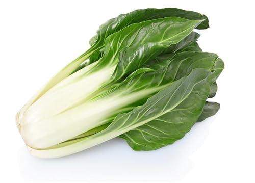 Semi BIETOLA VERDE A COSTA LARGA ARGENTATA In Busta Ermetica MADE IN ITALY Qualità superiore con 95% di germogliazione, con istruzioni