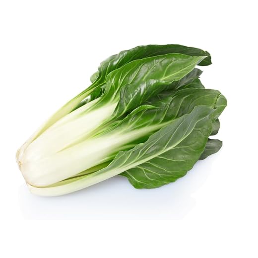 Semi BIETOLA VERDE A COSTA LARGA ARGENTATA In Busta Ermetica MADE IN ITALY Qualità superiore con 95% di germogliazione, con istruzioni