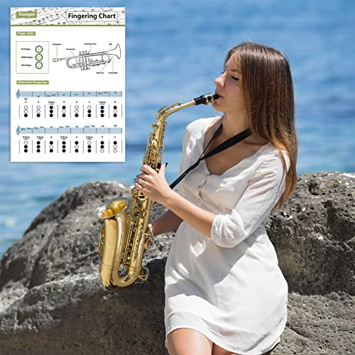 Loandicy Trompet akkoord Grafiek | Grafiek Voor Trompet - Draagbare Referentie Voor Beginners Volwassen Of Kid Klarinet Akkoord Sheet Trompet Praktijk Grafiek - Image 7